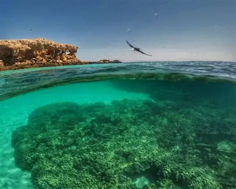 Dimaniyat Island